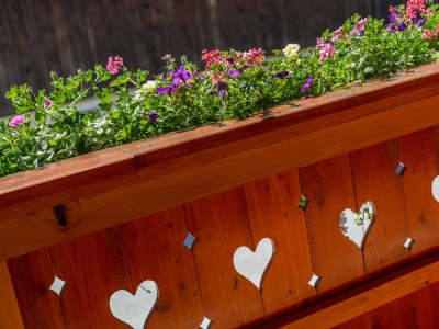 Apartment App. Dachstein - 2 Schlafräume, Dusche, WC - Outdoor photo 62