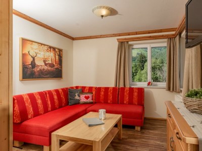 Apartment App. Dachstein - 2 Schlafräume, Dusche, WC - Features photo 76