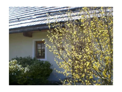 Apartment Ferienhaus/2 Schlafräume/ Dusche, WC - Outdoor photo 15