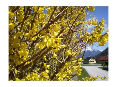 Apartment Ferienhaus/2 Schlafräume/ Dusche, WC - Outdoor photo 16