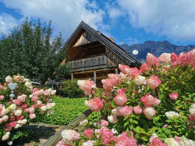 Apartment Ferienhaus/2 Schlafräume/ Dusche, WC - Outdoor photo 28