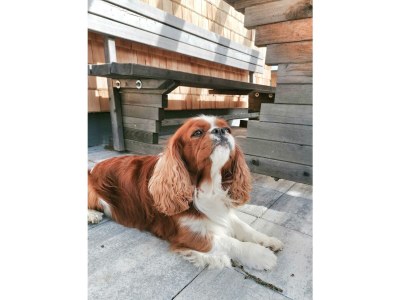 Apartment Ferienhaus, Dusche, WC, 3 Schlafräume - Outdoor photo 18