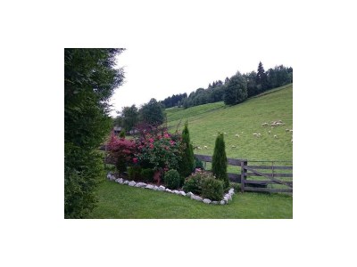 Apartment Bio Landhaus Kesslerhof - Outdoor photo 30