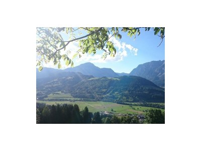 Apartment Bio Landhaus Kesslerhof - Outdoor photo 33