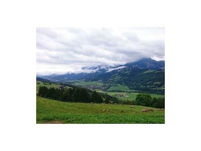 Apartment Bio Landhaus Kesslerhof - Outdoor photo 34