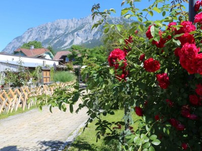 Apartment COMFORT-FERIENHAUS - Outdoor photo 4