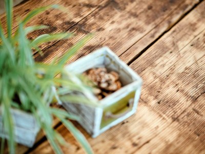 Apartment COMFORT-FERIENHAUS - Outdoor photo 9