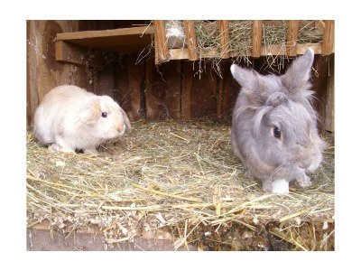 Apartment Ferienwohnung *Kammblick* - Outdoor photo 23