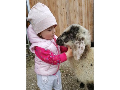 Apartment Ferienwohnung *Kammblick* - Outdoor photo 26