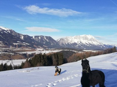 Apartment Ferienwohnung *Kammblick* - Outdoor photo 49