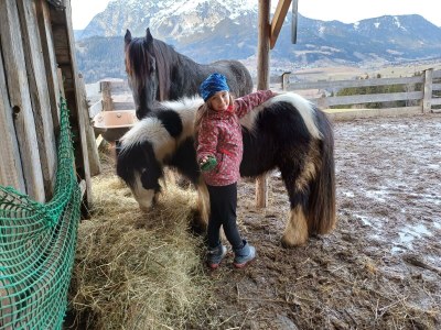 Apartment Ferienwohnung *Kammblick* - Outdoor photo 53