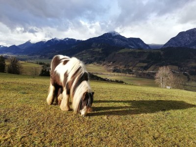 Apartment Ferienwohnung *Kammblick* - Outdoor photo 58