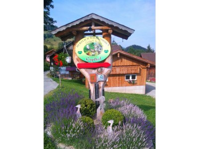 Apartment Ferienwohnung *Grimmingblick* - Outdoor photo 7