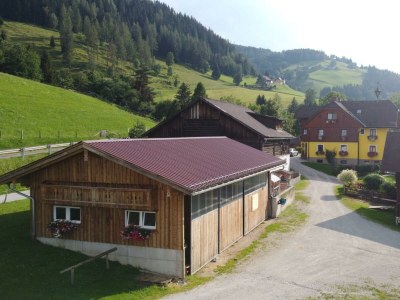 Apartment Ferienwohnung *Grimmingblick* - Outdoor photo 11