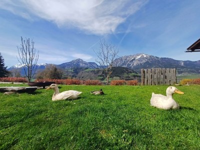 Apartment Ferienwohnung *Grimmingblick* - Outdoor photo 22