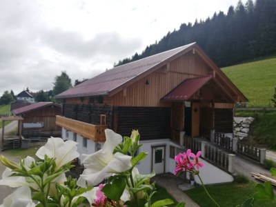 Apartment Ferienwohnung *Grimmingblick* - Outdoor photo 33