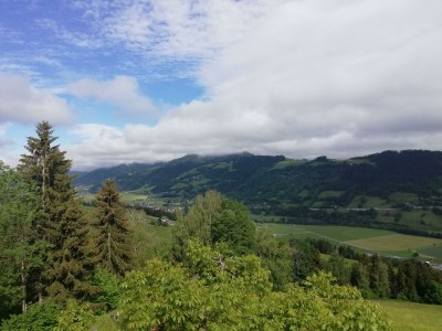 Apartment Ferienwohnung *Grimmingblick* - Outdoor photo 36