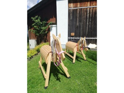 Apartment Ferienwohnung *Grimmingblick* - Outdoor photo 40