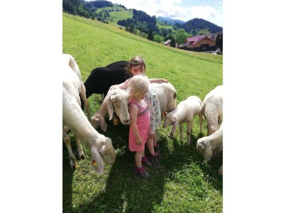 Apartment Ferienwohnung *Grimmingblick* - Outdoor photo 42