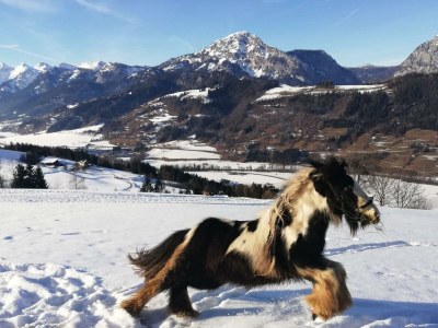 Apartment Ferienwohnung *Grimmingblick* - Outdoor photo 43