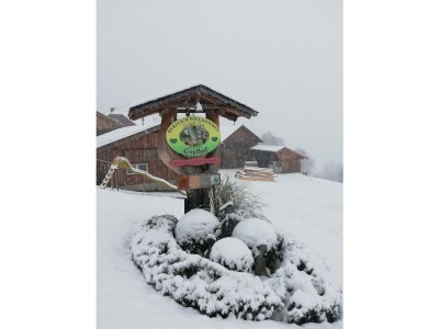 Apartment Ferienwohnung *Grimmingblick* - Outdoor photo 47