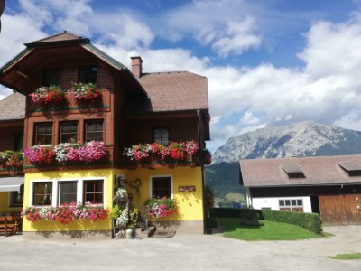 Apartment Ferienwohnung *Grimmingblick* - Outdoor photo 54