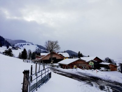 Apartment Ferienwohnung *Grimmingblick* - Outdoor photo 60