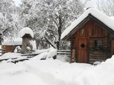 Apartment Ferienwohnung *Grimmingblick* - Outdoor photo 69