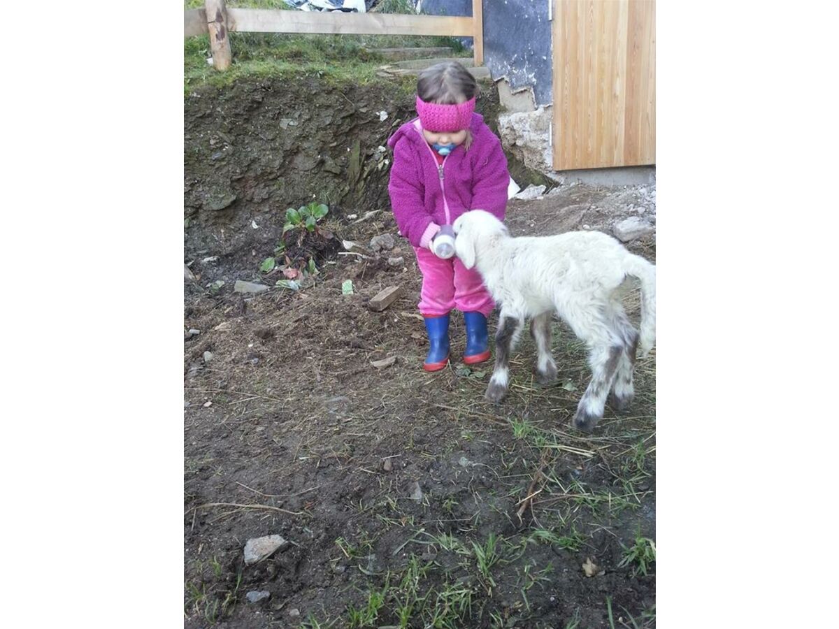 Apartment Apartment 1 - Outdoor photo 5