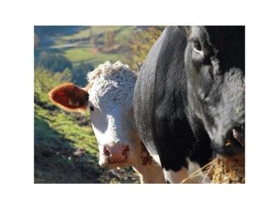 Apartment Apartment 1 - Outdoor photo 6