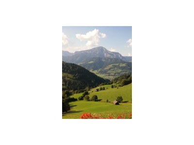 Apartment Apartment 1 - Outdoor photo 26