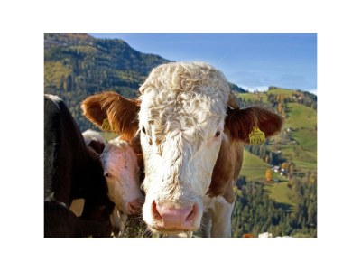 Apartment Apartment 1 - Outdoor photo 27