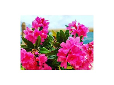 Apartment Apartment 1 - Outdoor photo 32