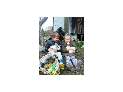 Apartment Apartment 1 - Outdoor photo 36