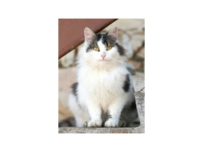 Apartment Apartment 1 - Outdoor photo 38