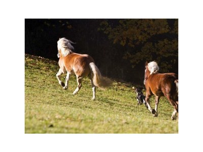 Apartment Apartment 1 - Outdoor photo 39