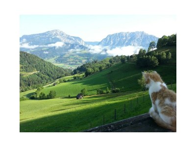 Apartment Apartment 1 - Features photo 43