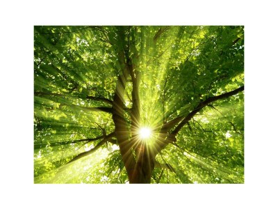 Apartment Apartment/2 Schlafräume/Du, Bad, WC/ A+B - Outdoor photo 6