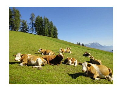 Holiday room Doppelzimmer mit Dusche, WC - Outdoor photo 8