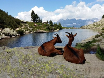 Holiday room Doppelzimmer mit Dusche, WC - Outdoor photo 12
