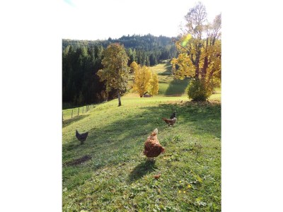 Holiday room Doppelzimmer mit Dusche, WC - Outdoor photo 27