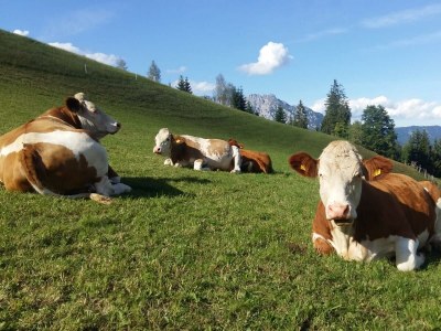 Holiday room Doppelzimmer mit Dusche, WC - Outdoor photo 34