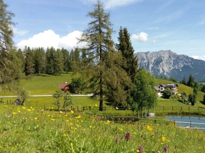 Apartment Ferienwohnung Himbeere - Outdoor photo 10