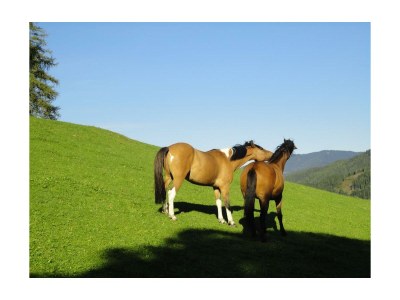 Holiday room Doppelzimmer mit Dusche, WC - Outdoor photo 11