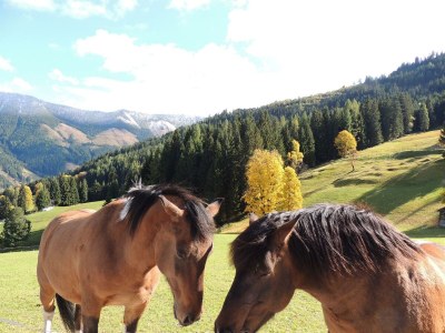 Holiday room Doppelzimmer mit Dusche, WC - Outdoor photo 12