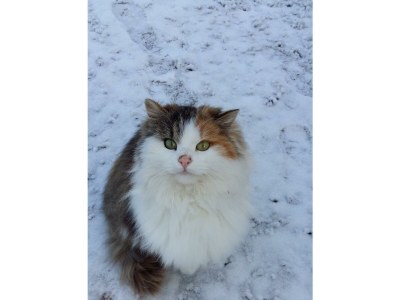 Holiday room Doppelzimmer mit Dusche, WC - Outdoor photo 39