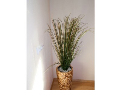 Apartment Appartement 2 - Features photo 34