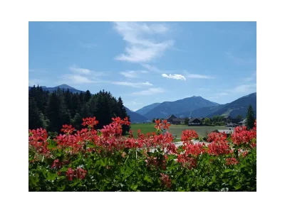 Apartment Apartment C/3 Schlafräume/2 Duschen,2 WC - Outdoor photo 9