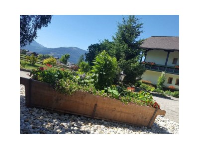 Apartment Apartment B/2 Schlafräume/Dusche, sep. WC - Outdoor photo 6