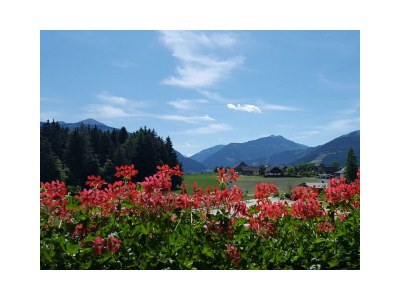 Apartment Apartment B/2 Schlafräume/Dusche, sep. WC - Outdoor photo 9